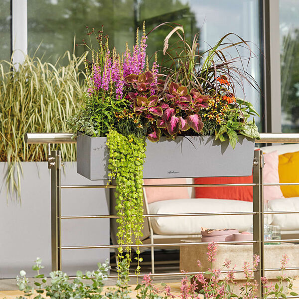LECHUZA Jardini&egrave;re BALCONERA Stone 80 ALL-IN-ONE Gris