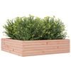 vidaXL Jardini&egrave;re 90x90x23 cm bois massif douglas