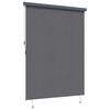 vidaXL Store enrouleur Ray&eacute; Anthracite 200 x 250 cm Tissu et Aluminium