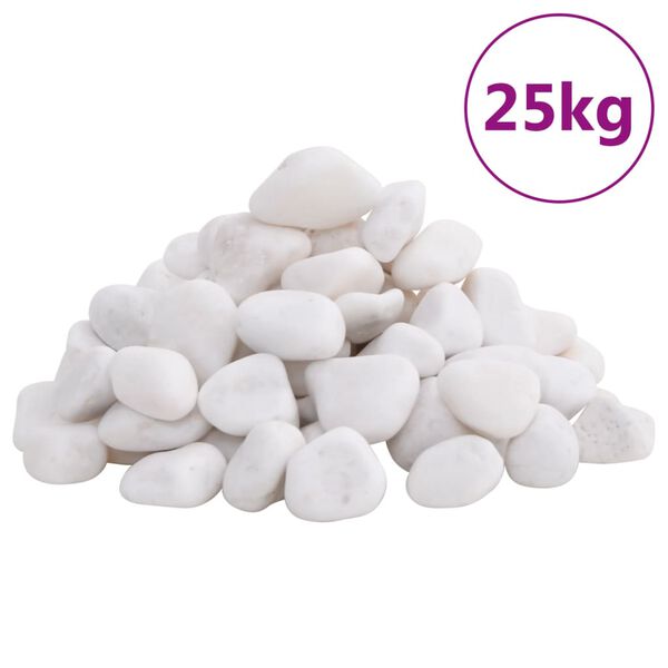 vidaXL Galets polis 25 kg blanc 2-5 cm