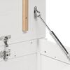 Vignette du produit 10 sur 12
