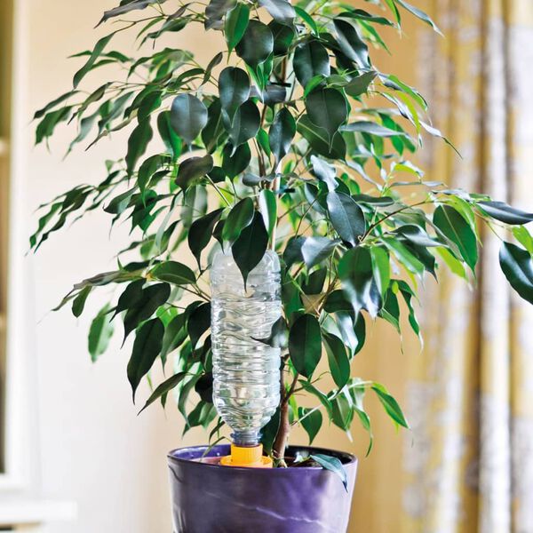 Hozelock C&ocirc;nes d'arrosage larges 4 pcs Aquasolo