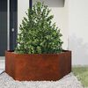 vidaXL Jardini&egrave;re Rouill&eacute; 138x120x45 cm Acier corten