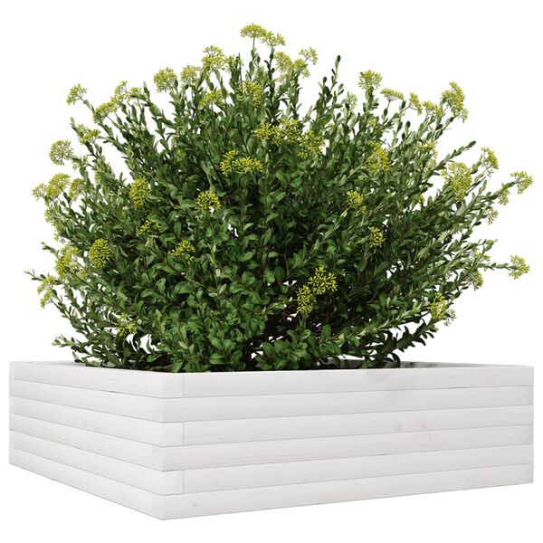 vidaXL Jardini&egrave;re blanc 80x80x23 cm bois de pin massif