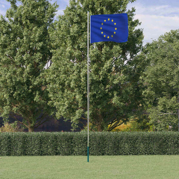 vidaXL Drapeau de l'Europe et m&acirc;t 6,08 m Aluminium