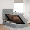 vidaXL Lit avec rangement et LED Gris clair 100 x 200 cm Polyester
