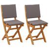 vidaXL Chaises de bistrot d'ext&eacute;rieur 2 pc Gris fonc&eacute;
