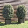 vidaXL Jardini&egrave;res d'ext&eacute;rieur 2 pcs Gris 40x40x40 cm Bois de pin