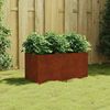 vidaXL Jardini&egrave;re 80x40x40 cm acier corten