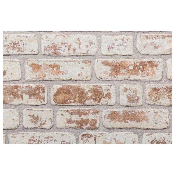 vidaXL Panneaux muraux 10 pcs Rouge et Blanc 100 x 50 cm Mousse EPS