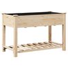 vidaXL Cache-pot de jardin avec &eacute;tag&egrave;re Beige 115 x 59 x 76,5 cm