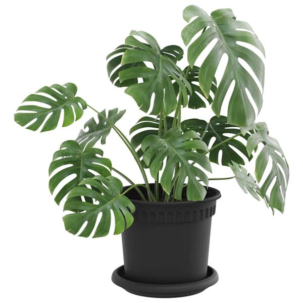 Affichage de l&rsquo;image produit 3 sur 12