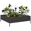 vidaXL Lit surélevé de jardin noir 100x100x33,5 cm acier