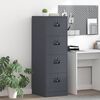 vidaXL Cabinet de Dossier 2 pcs Anthracite 44 x 50 x 106.5 cm