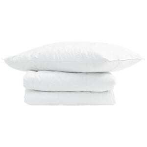vidaXL Duvet d'été simple avec oreiller 2 pcs Blanc Plume de canard