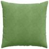 vidaXL Coussins de canapé 2 pcs Vert clair 60 x 60 cm