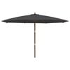 vidaXL Parasol de jardin avec m&acirc;t en bois noir 400x273 cm