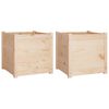 vidaXL Jardini&egrave;res d'ext&eacute;rieur 2 pcs 50x50x50 cm bois de pin massif