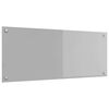 vidaXL Cr&eacute;dence de cuisine Gris clair 100 x 40 cm verre tremp&eacute;