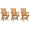 vidaXL Ensemble de 3 chaises pliantes en bois de teck pour jardin et ext&eacute;rieur