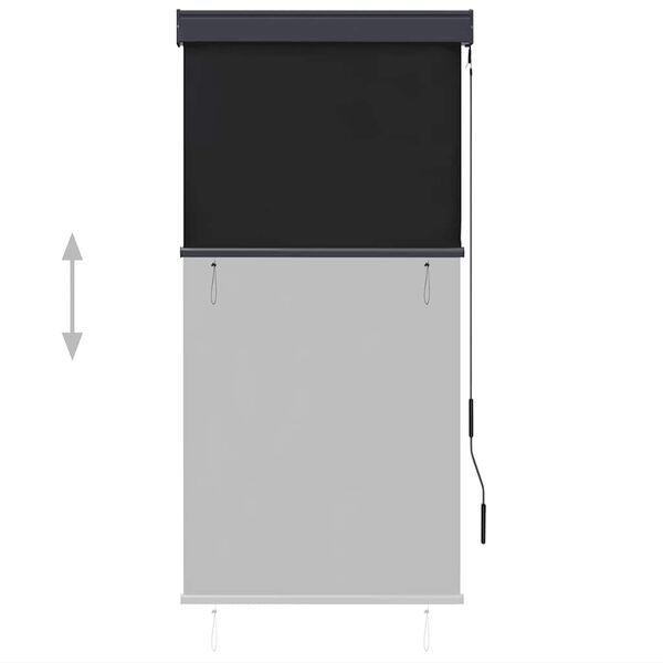 vidaXL Store roulant d'ext&eacute;rieur 80 x 250 cm Anthracite