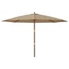 vidaXL Parasol de jardin avec m&acirc;t en bois taupe 400x273 cm