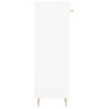 vidaXL Armoire à chaussure Blanc brillant 30x35x105 cm Bois ingénierie