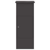 vidaXL Bo&icirc;te de d&eacute;p&ocirc;t de colis Noir 44,5 x 29 x 110,5 cm Acier