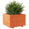 vidaXL Jardini&egrave;re cire marron 70x70x49,5 cm bois de pin massif