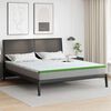 vidaXL Surmatelas Blanc et vert 180 x 200 cm Tissu Jacquard