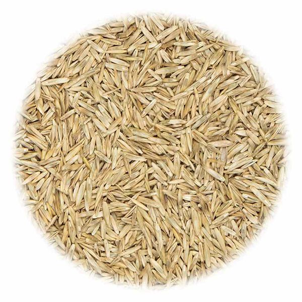 vidaXL Graine de gazon pour sports et jeux 20 kg