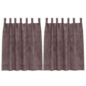 vidaXL Rideaux en velours 2 pc Marron 140 x 140 cm Velours