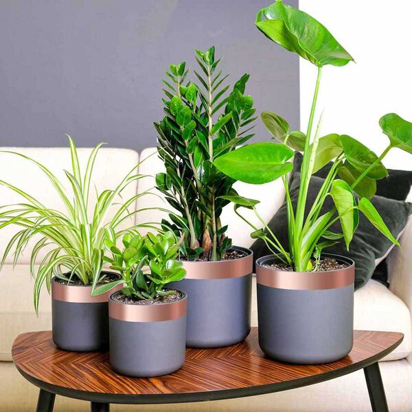 vidaXL Ruban en Cuivre Cuivre 2000 x 5 cm Cuivre