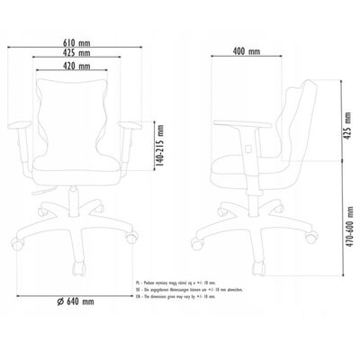 Entelo Chaise ergonomique pour enfants Duo Gray Visto 03 Gris