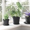 vidaXL Pots de plantes 6 pcs Noir &Oslash; 19 x 16 cm Plastique