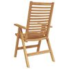 vidaXL Chaise de jardin 8 pcs Marron 52 x 64,5 x 108 cm