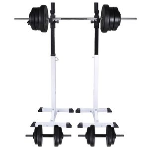 vidaXL Support d'halt&egrave;res avec jeu d'halt&egrave;res et de poids 60,5 kg