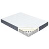vidaXL Matelas de sommier tapissier 200x160x20 cm