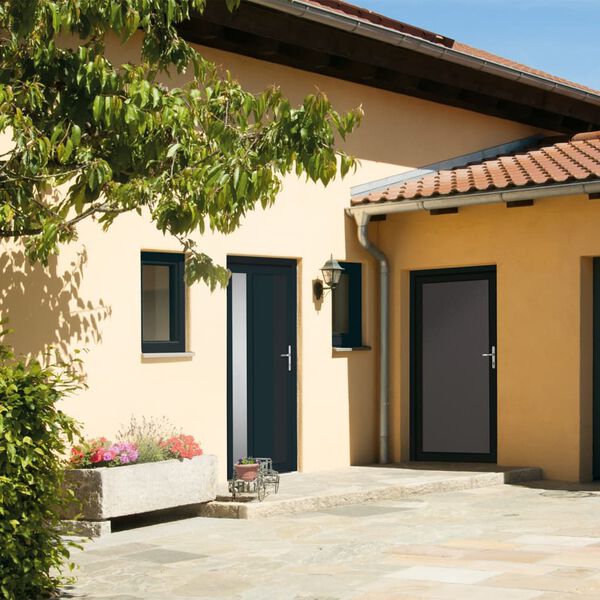 vidaXL Porte d'entr&eacute;e anthracite 98x200 cm PVC
