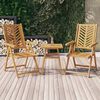 vidaXL Chaises de jardin inclinables lot de 2 bois massif d'acacia
