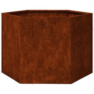 vidaXL Jardini&egrave;re Rouill&eacute; 60x60x45 cm Acier corten