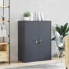 vidaXL Armoire de rangement Anthracite 80 x 40 x 105 cm Acier