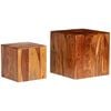 vidaXL Ensemble de table basse 2 pcs Bois massif 40x40x40 cm