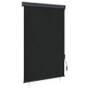 vidaXL Store roulant d'ext&eacute;rieur 120 x 250 cm Anthracite