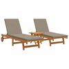 vidaXL Transat 2-personne 3 pcs Marron Bois d'Acacia Massif