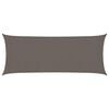 vidaXL Voile d'ombrage 160 g/m&sup2; Anthracite 2x4,5 m PEHD