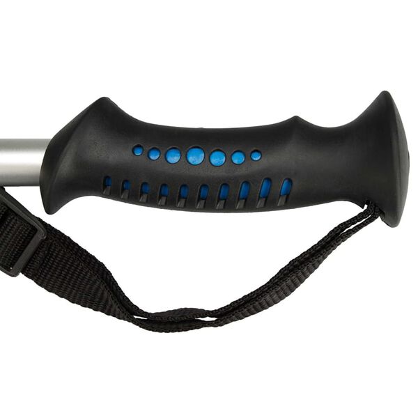 Abbey Canne de randonn&eacute;e 2 pcs Aluminium Argent&eacute; 21SV-ZIB-Uni