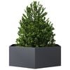 vidaXL Jardinière anthracite hexagone 138x120x45 cm acier