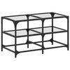 vidaXL Table basse avec dessus en verre transparent 78,5x40x45cm acier