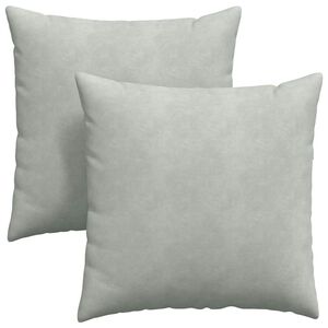 vidaXL Coussins de canap&eacute; 2 pcs Gris clair 60 x 60 cm